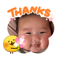 GORIRA_20260404233704