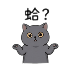 英短貓 芋粿的Q版日常語錄3