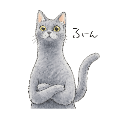 kaweru_20260404200931