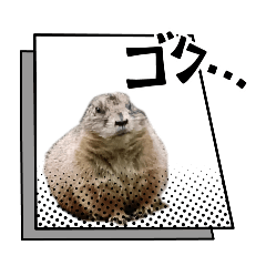 KYOKO_20260404201216