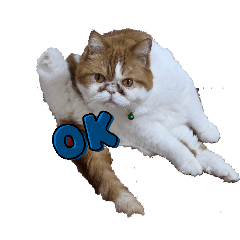 Ponta_20260404201445