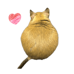 mairudkawauti_20260404201055