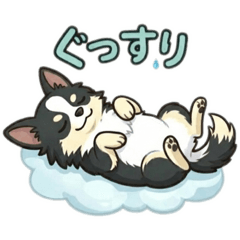 kenji_20260404200225