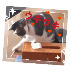 hiroko_20260404201457