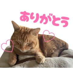 tikuwa_20260404201506