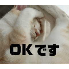 SALTFAMILY_20260404204955