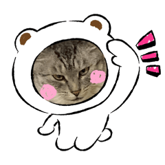 **HANA**_20260404205215