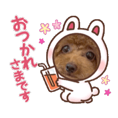 ratetuna_20260405130305