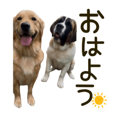 chiri_20260401175407