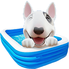 "Bull Terrier" dog #7 (Summer&Songkran)