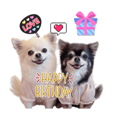 chami_20260404215701