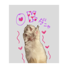 Pafetabetai_20260404220625