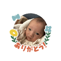 tama083_20260404220801