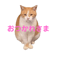 yuppi_20260404220105