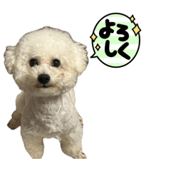 Miyu.s_20260404222619