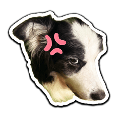 Akayana?_20260404222727