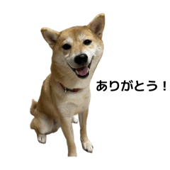 Yuzuume_20260404223427