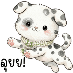 Cute little dog: Songkran