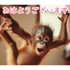 PAKAMOGOLY_20260404225257