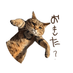 27_20260404225906