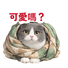 歐咘日常話語（二）