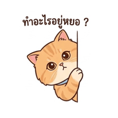 Jet and friends_20260404190221