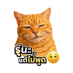 thitiya_20260404194626