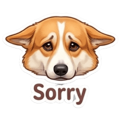 anniji_20260404190159