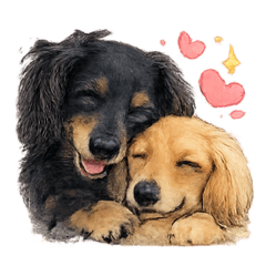 Q比&綺夢甜蜜日常