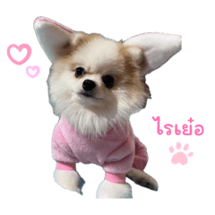 BrownieNDaisy_20260404212112