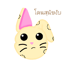 Motin_20260404231636