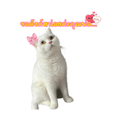 Baitoey_20260404233844