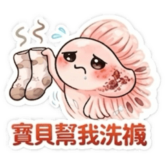 梦梦鬥魚之情侶互動