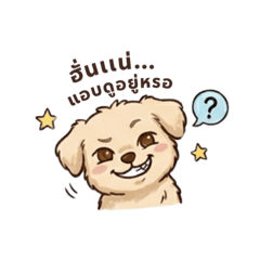 Harika_20260405052308