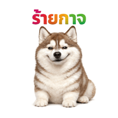 Atomix's Design_2026 Husky