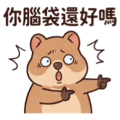 Quokka, are you alright?