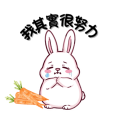 厭世療癒兔⑩｜內心獨白