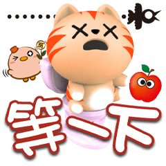 《金桔喵真實用》★等一下★