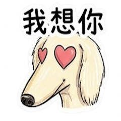 誇張大臉臘腸狗