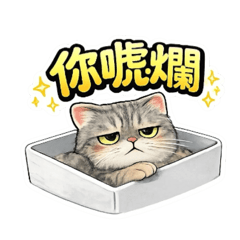喬巴日常：又懶又不爽的貓
