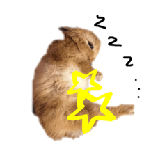 u_s