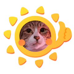 吾等與貓毛-小貓貓們