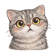 《喬巴：厭世但可愛》