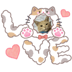 Chucream_20260405121653