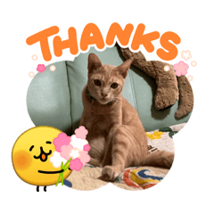 Chucream_20260405122701