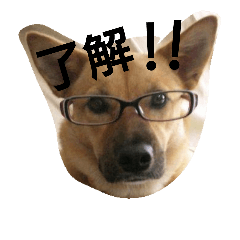 RipripRipriprip