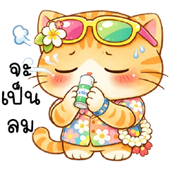 Summer the orange cat is cute