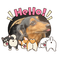 junko_20260402032045