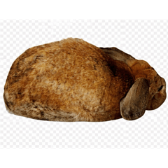t_20260331201231