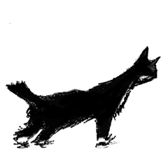 Cats from Indonesia and Japan